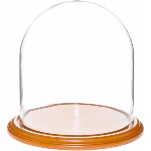 Plymor Brand 9.75" x 10" Glass Display Dome Cloche (Oak Veneer Base) 840003144178  202344638228
